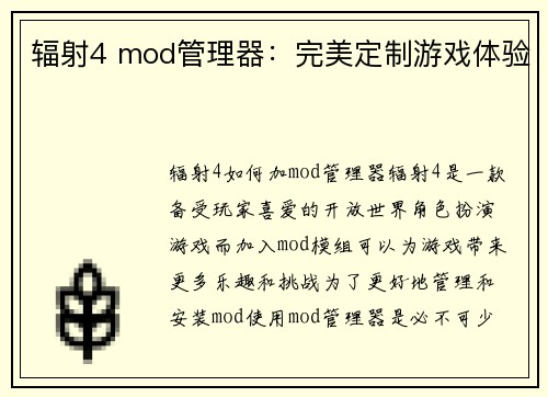 辐射4 mod管理器:完美定制游戏体验